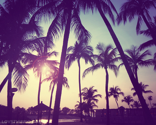 27556-Miami-Beach